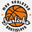 https://img.zhihxin.cn/img/basketball/team/0c2f73d2ab7041cf90029a20deff7f17.gif